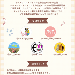 保護ワンコ譲渡会 in ペットのお葬式＆思い出工房 サムネイル2