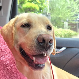 募集一時停止中です