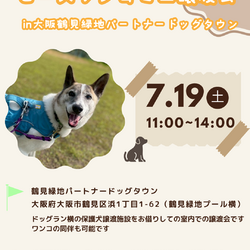 ピースワンコ生駒ミニ譲渡会 in大阪鶴見緑地パートナードッグタウン