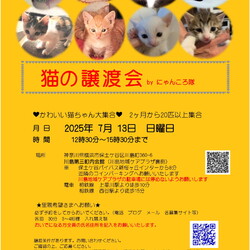 猫の譲渡会　by にゃんころ隊　7/13