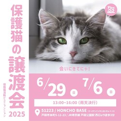 保護猫の譲渡会