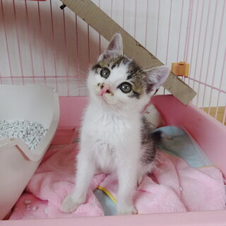 女の子みたいな可愛さ❤️