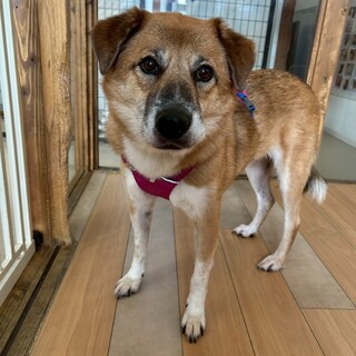 甘えん坊さんの愛斗（あいと）くん