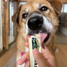 甘えん坊さんの愛斗（あいと）くん サムネイル2