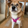 甘えん坊さんの愛斗（あいと）くん サムネイル3