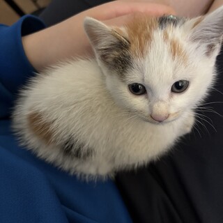 生後3ヶ月（女の子????‍⬛????）