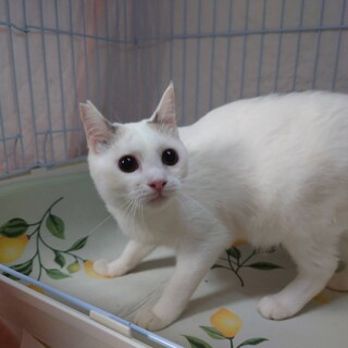 元気いっぱいリリーちゃん♪