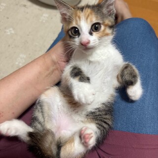 素敵なご家族と出会えました♡マナちゃん