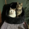 ソラ ユズ