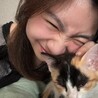 の写真