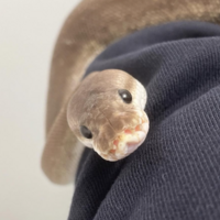 くたくた