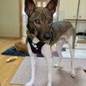 ゆっくり慣れていくからいっぱい甘えさせてね♡ サムネイル3