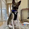 ゆっくり慣れていくからいっぱい甘えさせてね♡ サムネイル4
