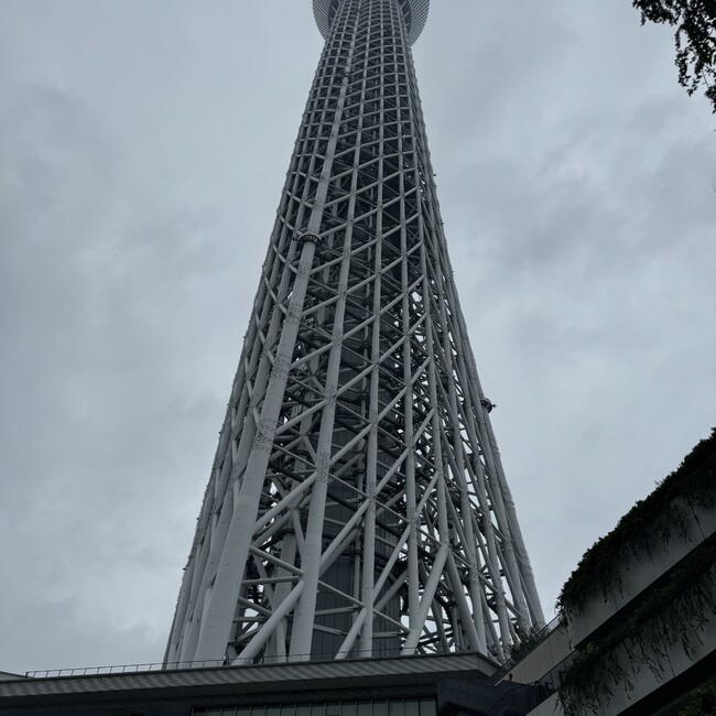 キンタトラマルのカバー写真