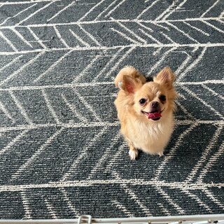 まだまだ赤ちゃん????