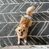 まだまだ赤ちゃん???? サムネイル2