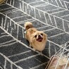 まだまだ赤ちゃん???? サムネイル3