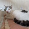 暑い日々お外でお迎えを待ってます サムネイル2