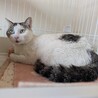 暑い日々お外でお迎えを待ってます サムネイル3