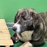 命の機嫌が迫っています　引き出しサポートします サムネイル2