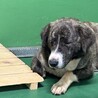 命の機嫌が迫っています　引き出しサポートします サムネイル3
