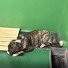 命の機嫌が迫っています　引き出しサポートします サムネイル4