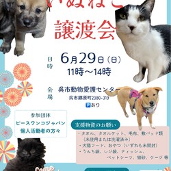 いぬねこ譲渡会