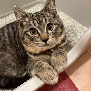 甘えん坊で人が好きな後をついて来るぽんた君