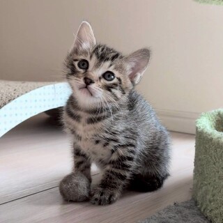 おっとり甘えん坊♡末っ子気質♡ヤンヤンちゃん