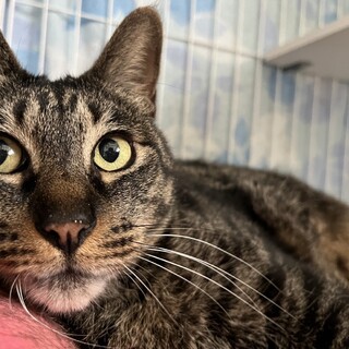 KYで自由奔放！ボール命な大型男子