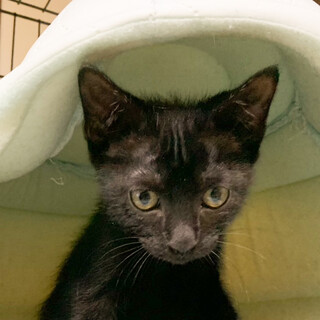 お利口おっとり女子♥はな