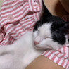 好奇心旺盛で甘えん坊★なの サムネイル6
