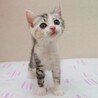 6/22高田馬場★ほたるちゃん★可愛いしっかり者 サムネイル2