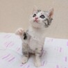 6/22高田馬場★ほたるちゃん★可愛いしっかり者 サムネイル3