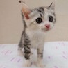 6/22高田馬場★ほたるちゃん★可愛いしっかり者 サムネイル4