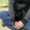 人間大好き　黒猫の女の子 サムネイル2