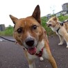 きゅるきゅるお目目の【ジェノバ】くん サムネイル3