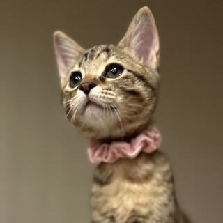 タレ目の可愛い系女子♥たき