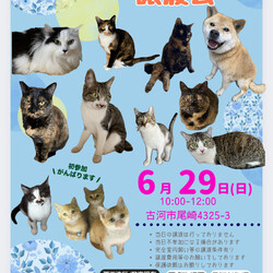 保護犬猫☻譲渡会 @古河市