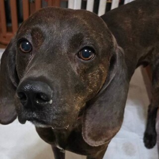 女の子みたいな顔した可愛いプロット！