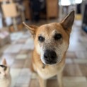 猫にも優しい子