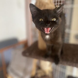 家族にしてください⭐︎