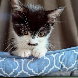 おっとりぽわぽわ〜んのムーンちゃん♡