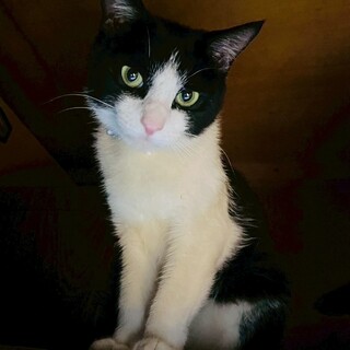 小顔で優しい男の子♡ブンブン