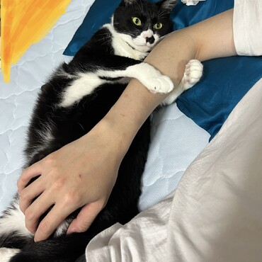 ぎゅっ