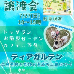 ティアガルテン犬猫譲渡会