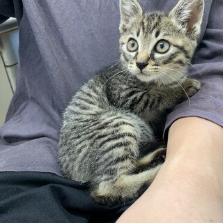 No.54 穏やかな1ヶ月半男の子