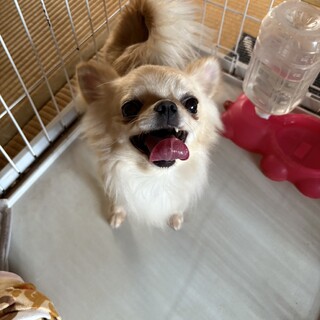 照れ屋な甘えんぼ