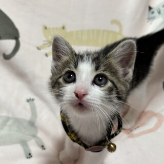 甘えっ子な男の子・蓮大（れお）くん