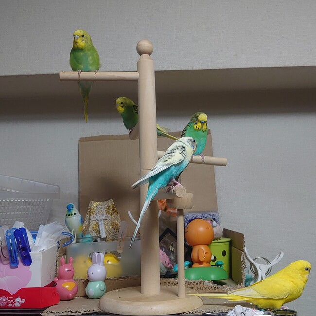 南部佑一のカバー写真